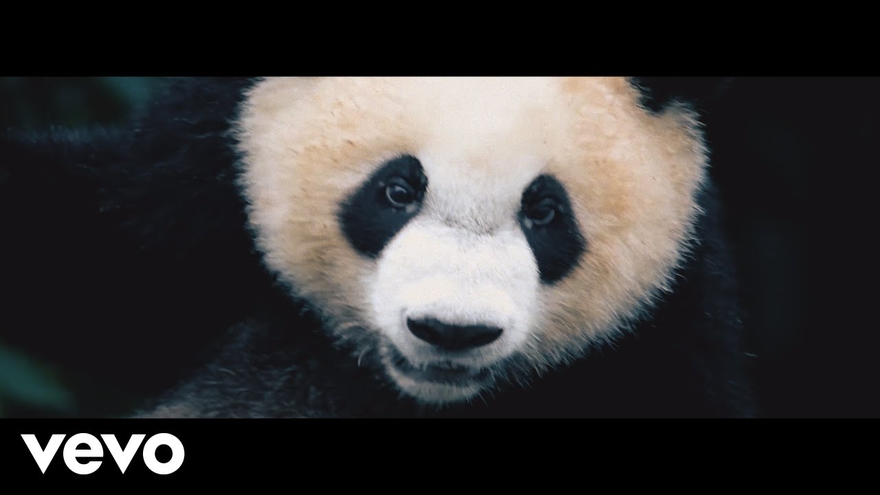 RUMBARISTAS - Panda Revolution