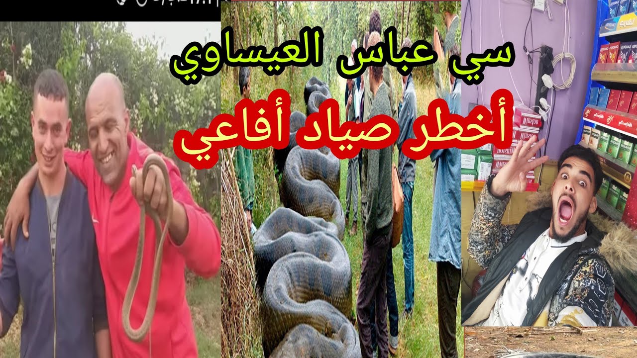 با عباس العيساوي يصطاد ثعبان خطير ويجعله يستسلم😱😱