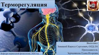 Физиология терморегуляции