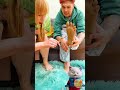 ¡Gatos en Acción: Acupuntura Divertida! 🐾😂