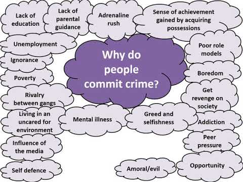 Որո՞նք են հանցագործության հիմնական պատճառները մեր հասարակության մեջ: