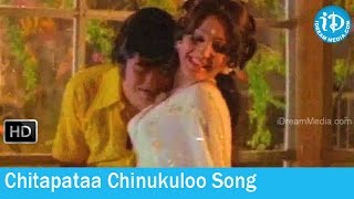 Agent Gopi Movie Songs - Chitapataa Chinukuloo Song - Sathyam HIt Songs