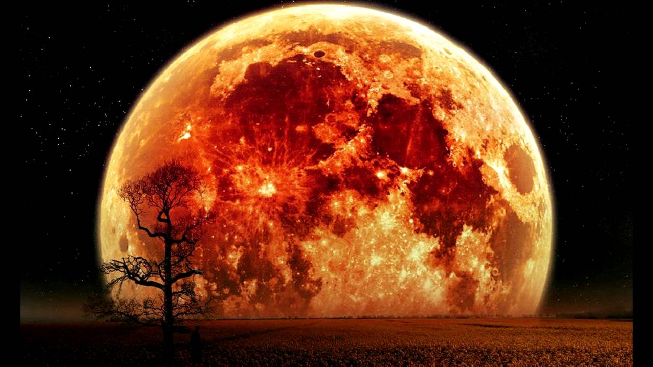 Stephan Bodzin - Roter Zwerg