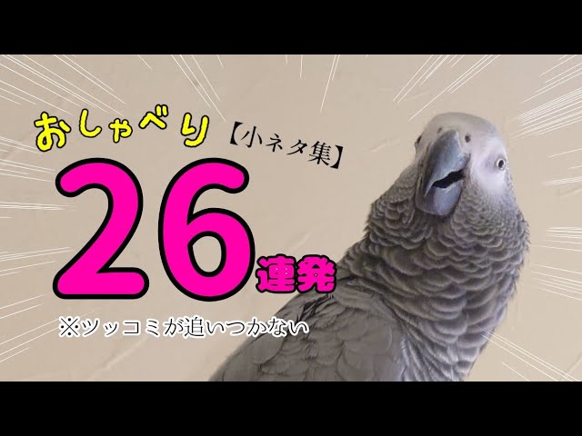 When I told Yomu my new age, I was overwhelmed [Birthday: happy