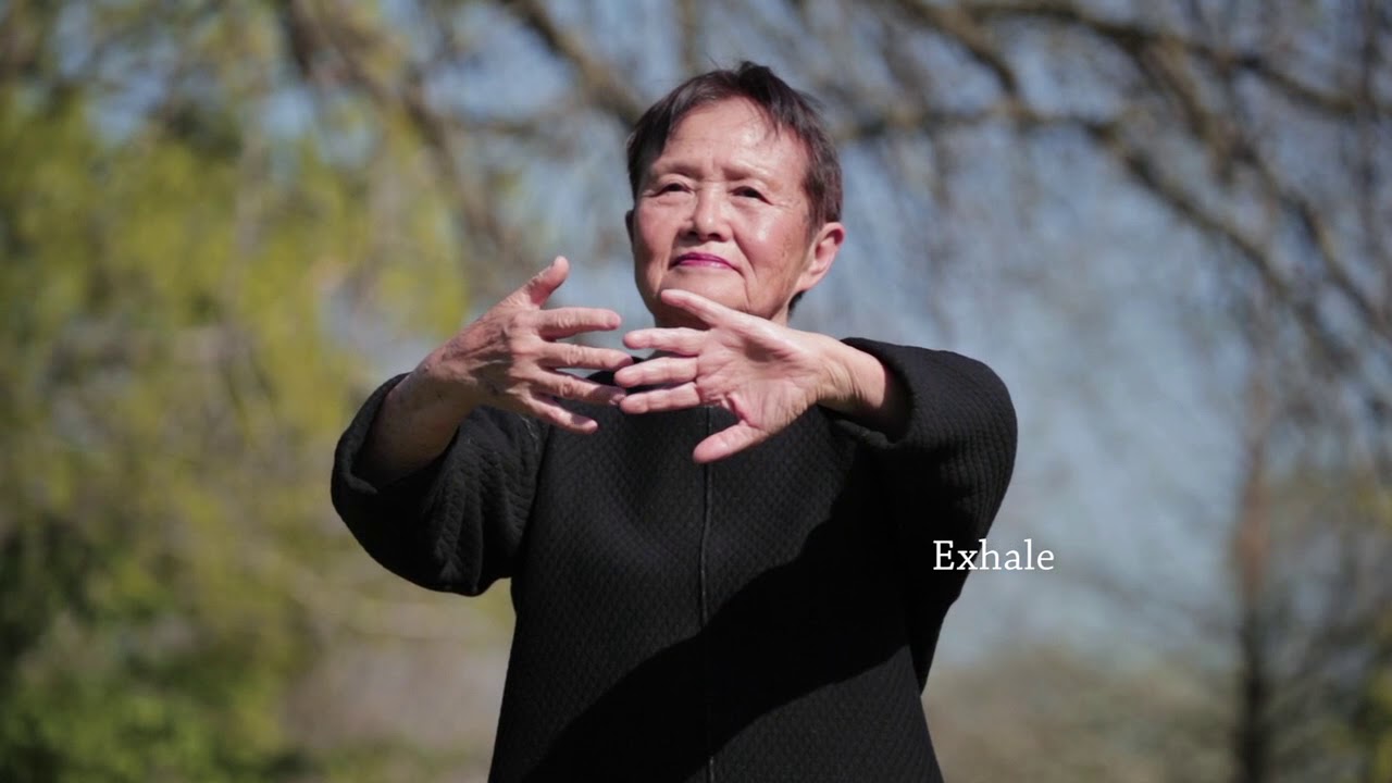 Qigong Full 20 Minute Daily Routine