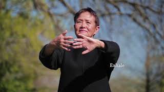 Qigong Full 20-Minute Daily Routine screenshot 5