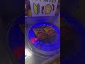 ㊗️100万再生🎉🔰優しい設定って書いてあったのに...（トライポッド）