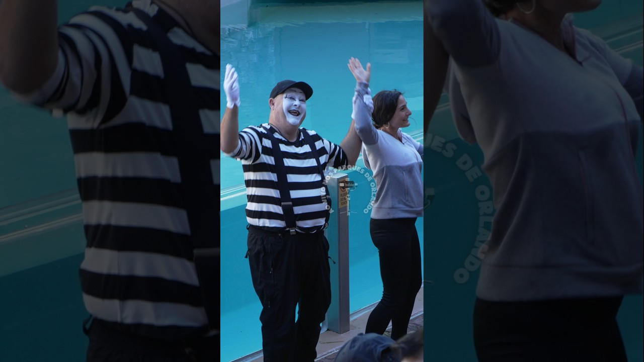 Tom o mímico se contagiou com a empolgação desta mulher 😂🤣 #tomthemime #seaworldmime