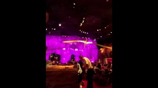 Dinner at T Rex Restaurant
