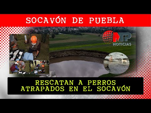 EXITOSO RESCATE DE LOS PERRITOS ATRAPADOS EN  SOCAVÓN