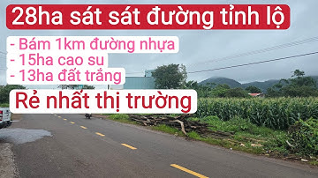 Bán đất trồng cà phê và vườn cao su giá rẻ, bất động sản đất vườn