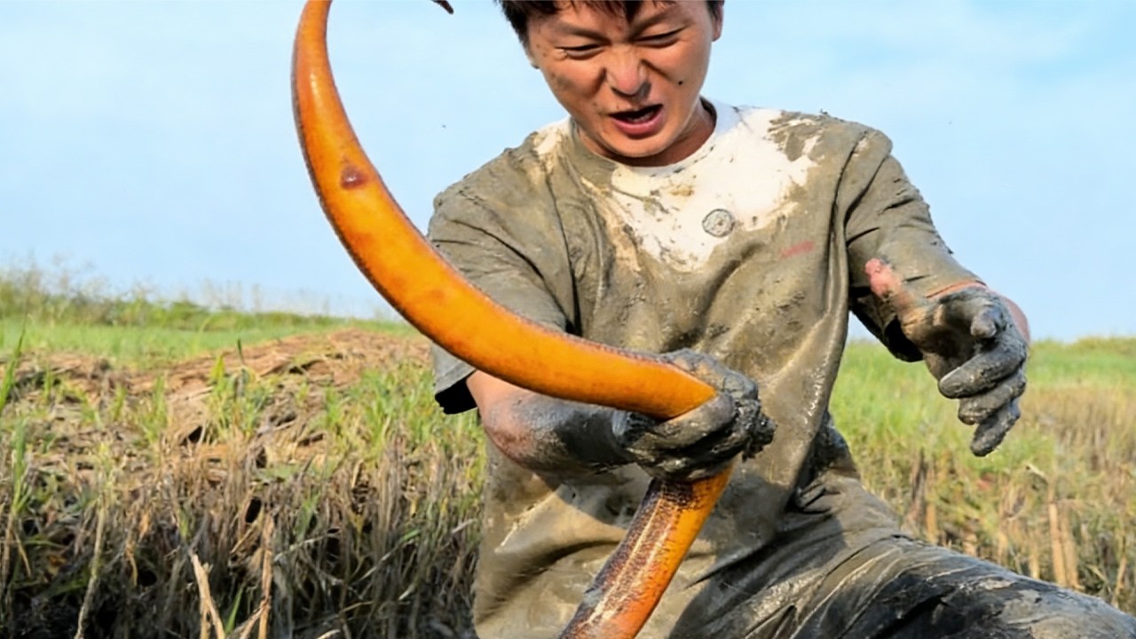 鐵粉家的老蝦塘就是猛，400 塊抓鱔魚，全程都是意外收穫！#熱門 #fishing