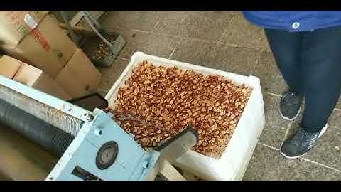 Automatic Dried Red Jujube Date RIng Slice Cutting Machine