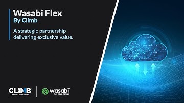 Wasabi Flex by Climb - Store More. Pay Less. Move Faster.