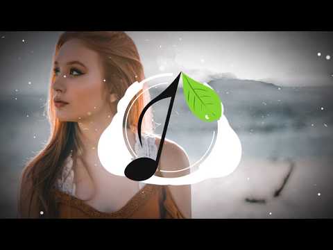 Prince Fox - Positive feat. WRENN