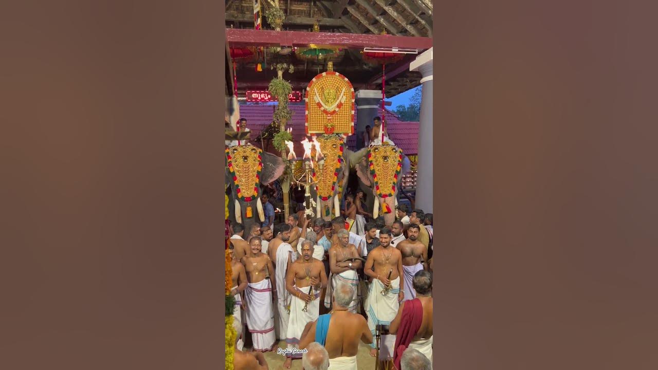 Tharakkal Pooram 2024 Chembada Melam Peruvanam Kuttan Marar 🐘