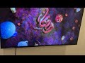 فاصل   2 رمضان يجمعنا 2023