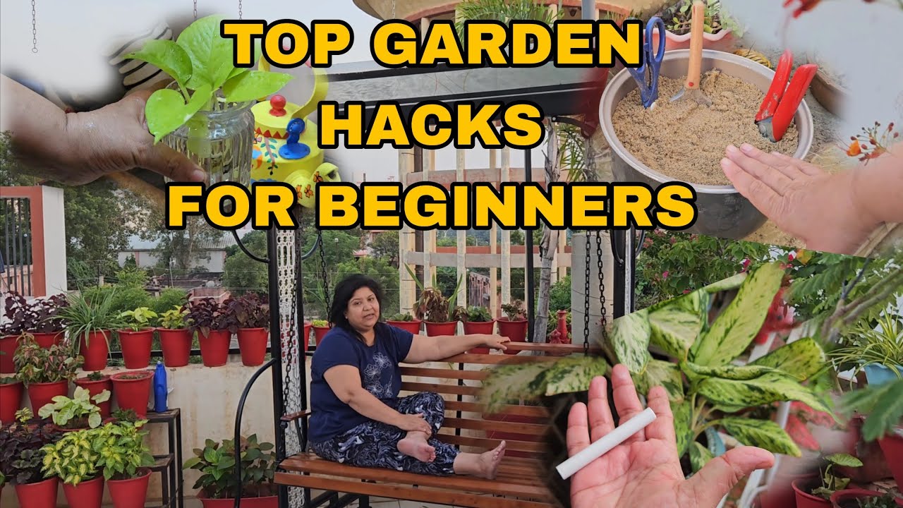Genius Gardening Hacks for Your Garden || Fun Gardening - YouTube
