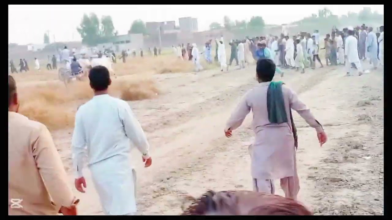 Final race in bail door of 40wla ground zabrdest door bail nay kemal kar deya bohat Maza Aya door 