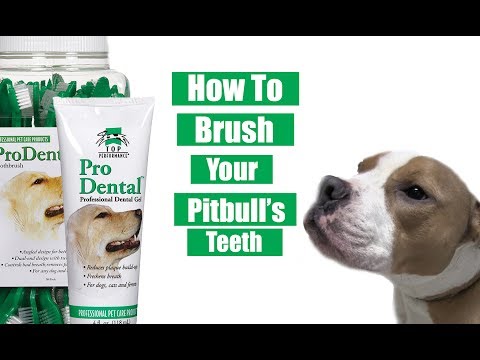 dental sticks for dogs with sensitive stomachs