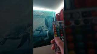 Programming DIY on LED Strip Remote 44KEY