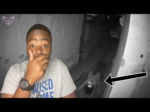 Horrifying Footage That Will Cause Insomnia REACTION!