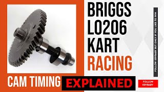 Briggs & Stratton LO206 Cam Timing Profile and Cheats Explained see how to twist you camshaft