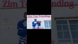 Zim Top Trending Hulengende #music #trending #trending #dancehall #dancehall #viral #fly