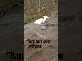 hard work is for everyone
