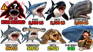 8 Ocean Bites Ranked. The Last One Would Crush You