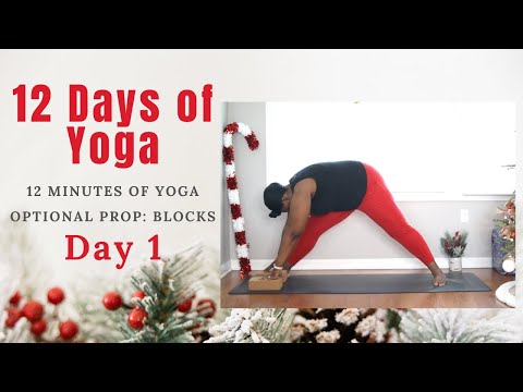 12 Days of