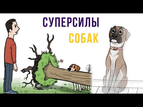 Комиксы. Суперсилы собак | Мемозг #286