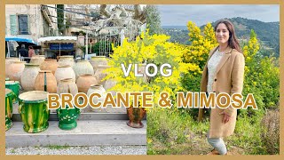 Vlog Entre Brocante et Mimosa 🌼