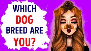 What Dog Breed Are You Based on Your Personality | Fun Quick Test