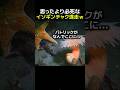 思ったより面白いイソギンチャクの逃げ方ｗ