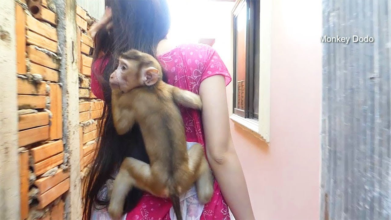 Wow Dodo Happy Hug Mom To Take A Bath With Her, Dodo Get New Clothes