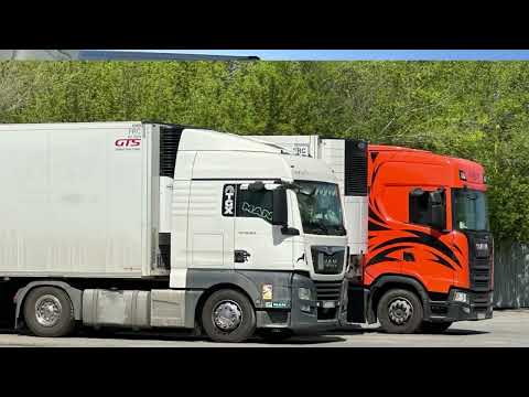 #Катаемся_152 Загрузился на Краснокаменск ( Забайкальский Край ) Пофоткал зверюшек!