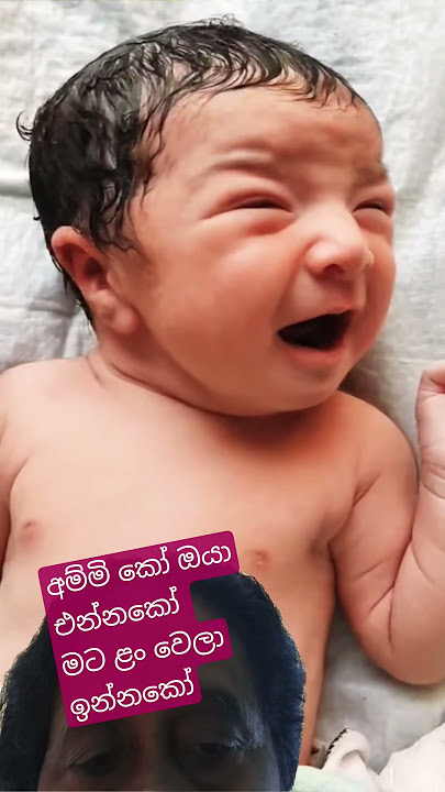 අම්මි ඔයා කෝ #newborn #baby #cutebaby #kandaksema