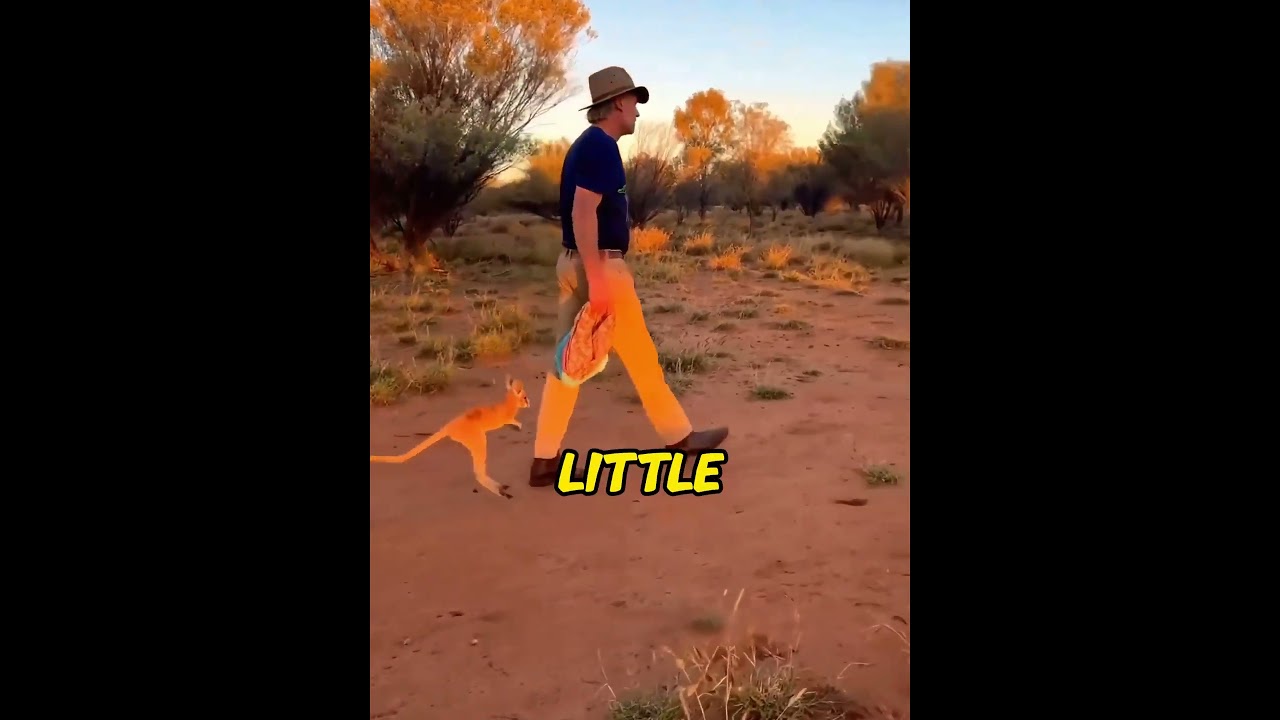 The kangaroo raised like a child refused to leave and brought friends back for snacks#usa #shorts