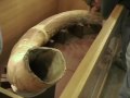 Mammoth tusk arrives in Corpus Christi, TX