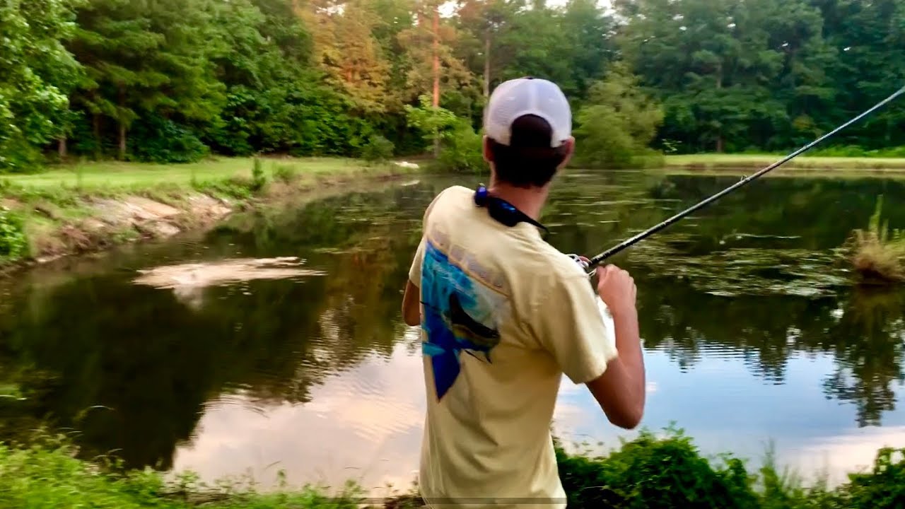 How to fish topwater frogs for bass YouTube
