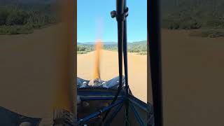 landing lake Pillsbury #aviation #experimentalaircraft
