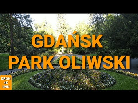 Odtwórz wideo
