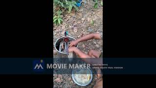 honey collecting  bee keeping