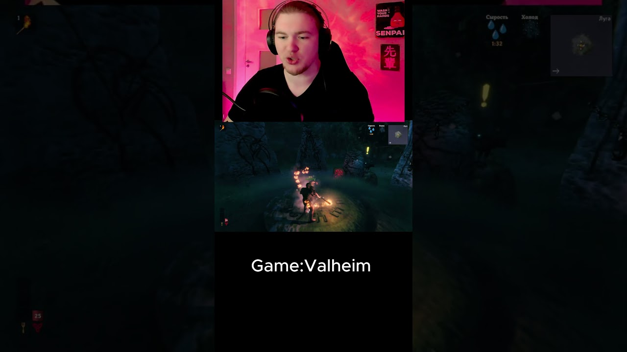 Valheim 