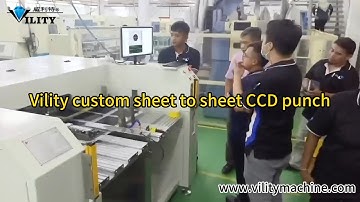 Vility customized automatic high speed CCD sheet to sheet punching machine for Malaysian customers
