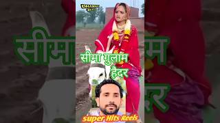 सम गलम हदर बहत खश ह