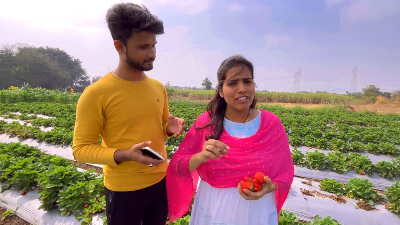 टॉम अँण्ड जेरीची आज थेट स्ट्रोबेरीच्या शेतात जुगलबंदी🤣। #sulemanpathan #sonyadada
