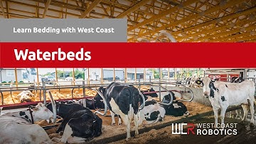 Waterbeds – Learn Bedding with West Coast
