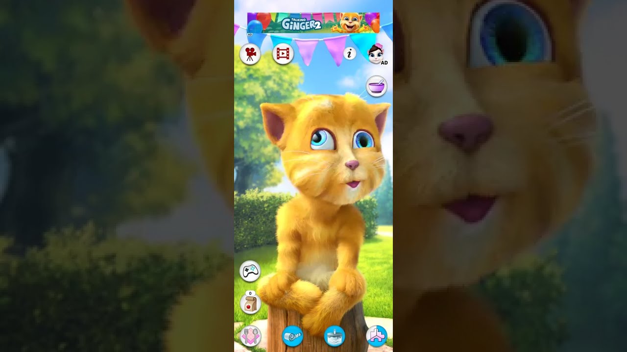 Talking Ginger 5 Shorts